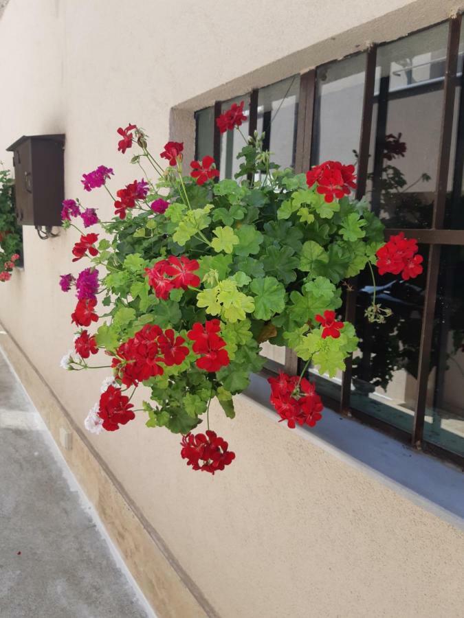 Villa Ros Guest House Svilengrad Exterior foto