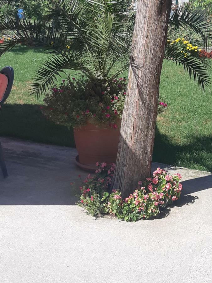 Villa Ros Guest House Svilengrad Exterior foto