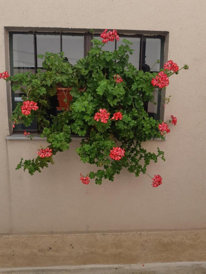 Villa Ros Guest House Svilengrad Exterior foto