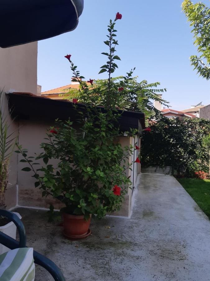 Villa Ros Guest House Svilengrad Exterior foto